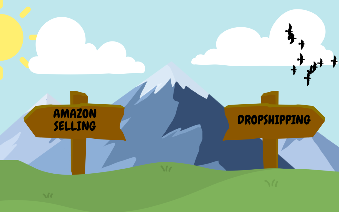 Amazon Selling Vs Dropshipping: Which One’s For You?